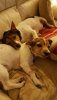 IMG-20190109-WA0000.jpg