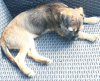 20190805_151811.jpg
