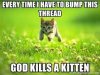 Bump Kitten.jpg
