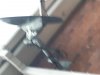 20191005_084935.jpg