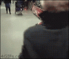 giphy (1).gif