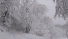 snow in galway.gif