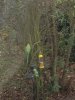image-782200367.jpg