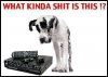 7298d1352996947t-who-has-best-starview-joke-sv-shit.jpg