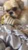 IMG-20190516-WA0000.jpg