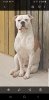 IMG-20190408-WA0002.jpg