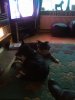 FB_IMG_1592062930945.jpg