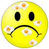 1593515482817.png