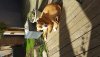 20200820_100237.jpg