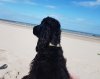 20190805_115858.jpg