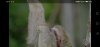 Screenshot_20200821_090048_com.google.android.youtube.jpg
