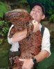 ChineseGiantSalamander_zpsb36dbb91.jpg ChineseGiantSalamander_zpsb36dbb91.jpg