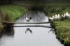 nature11.jpg
