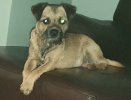 20201110_190524.jpg