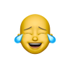 1623075292525.png