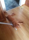 20210613_174928.jpg