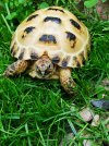 IMG_20180602_160527.jpg