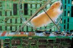 hamster-wheel.jpg