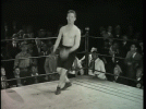 XNjibi.gif