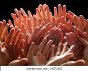 Fingers.jpg