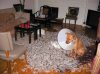 pets4.jpg