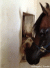 good friends3.gif