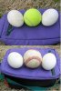Egg Size.jpg
