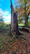 20211104_110421.jpg