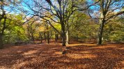 20211104_105959.jpg