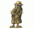 flasher-skeleton.gif
