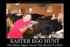 Easter-Egg-hunt-Demotivational-poster-funny-picture-the-golden-egg-is-always-the-hardest-to-find.jpg