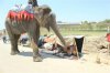 raju30-630x420.jpg raju30-630x420.jpg