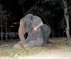 rajucrying-591x500.jpg rajucrying-591x500.jpg