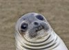 sup6.jpg