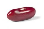Bean.jpg
