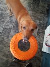 20220621_171553.jpg