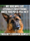 1658873502592.png