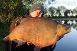 tobias-bream.jpg