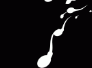 image_processing20200626-22041-8ryv13.gif