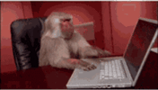 when-your-wifi-stops-working-mondkey.gif