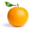 1668549155085.png