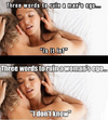 1669075473443.png