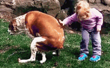 9427de29044dffb672ef929946a92e5a.gif
