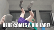 giphy (1).gif