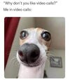 images.jpeg-6.jpg
