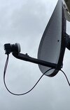 IMG_0282.jpeg