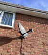 thumbnail_IMG_1522.jpg
