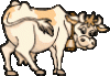 animated-cow-image-0037.gif