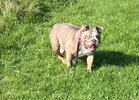 IMG_6831.jpeg