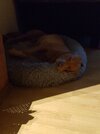 20220515_213714.jpg